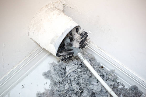 Air Duct Mold Removal in Grove City, PA